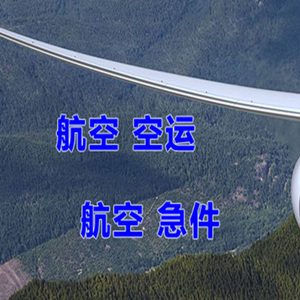 额济纳旗桃来航空邮寄快递-选东方航空和上海航空